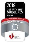 Silver Plus Stroke Award Logo